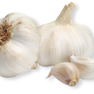 Fresh Garlic